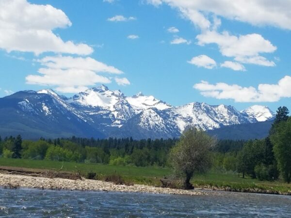 Fly Fishing Vacation Packages Bitterroot River Bitterroot Valley