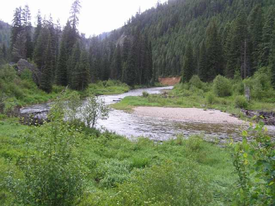 Mountain Stream