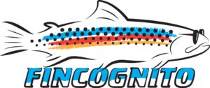 fincognito_logo