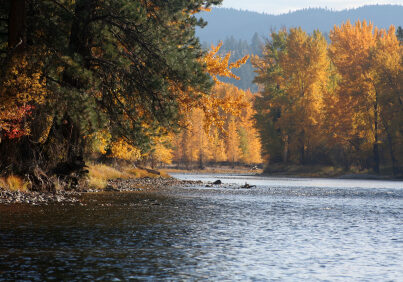 Bitterroot River in the Fall